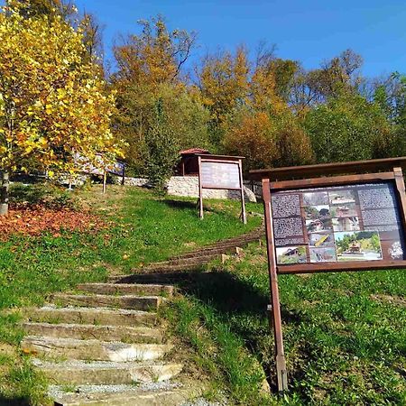Vila Trnoruzica Tuhelj Extérieur photo
